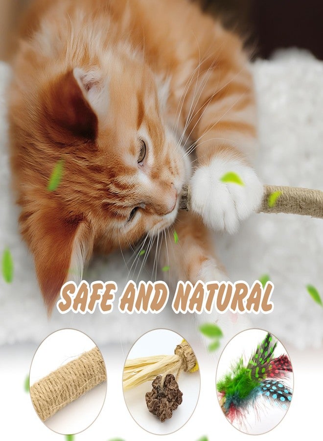 Quacc 4 PCS Silvervine Chew Sticks Natural Silver Vine Sticks Cat Dental Treat Toy for Teeth Cleaning Calm Cat Anxiety Stress - Image 5